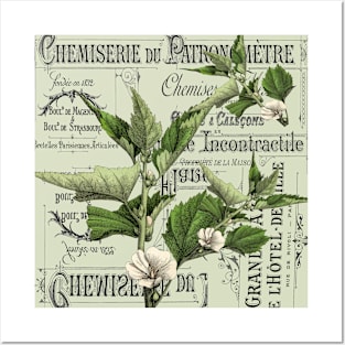 dark academia leaf wildflower french country Posters and Art